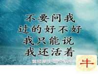 苏州大黄鸭商贸有限公司