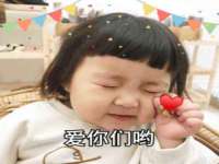 苏州大黄鸭商贸有限公司