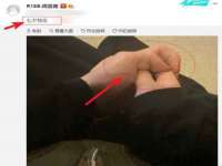 苏州大黄鸭商贸有限公司