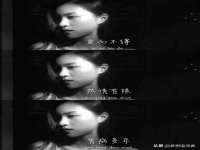 苏州大黄鸭商贸有限公司