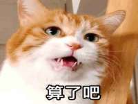 苏州大黄鸭商贸有限公司
