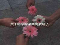 苏州大黄鸭商贸有限公司