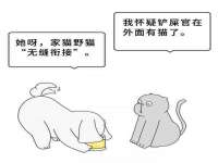 苏州大黄鸭商贸有限公司
