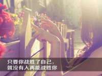 苏州大黄鸭商贸有限公司