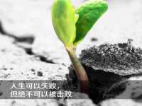 苏州大黄鸭商贸有限公司