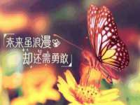 苏州大黄鸭商贸有限公司