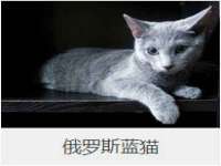 苏州大黄鸭商贸有限公司