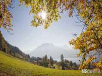苏州大黄鸭商贸有限公司