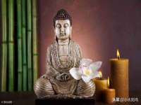 苏州大黄鸭商贸有限公司