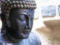 苏州大黄鸭商贸有限公司