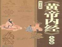 苏州大黄鸭商贸有限公司