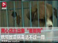 苏州大黄鸭商贸有限公司