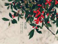 苏州大黄鸭商贸有限公司