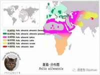 苏州大黄鸭商贸有限公司