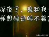 苏州大黄鸭商贸有限公司
