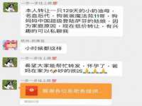 苏州大黄鸭商贸有限公司