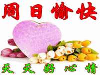 苏州大黄鸭商贸有限公司
