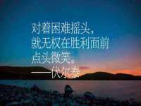 苏州大黄鸭商贸有限公司