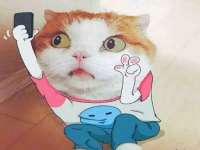 苏州大黄鸭商贸有限公司