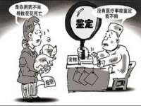 苏州大黄鸭商贸有限公司