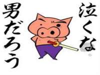 苏州大黄鸭商贸有限公司