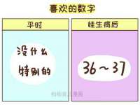 苏州大黄鸭商贸有限公司