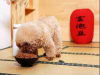 苏州大黄鸭商贸有限公司