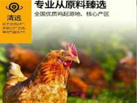 苏州大黄鸭商贸有限公司