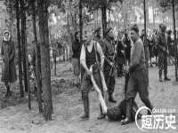 苏州大黄鸭商贸有限公司
