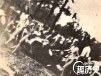 苏州大黄鸭商贸有限公司
