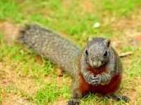 苏州大黄鸭商贸有限公司