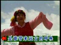 苏州大黄鸭商贸有限公司