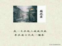 苏州大黄鸭商贸有限公司