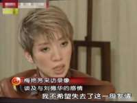 苏州大黄鸭商贸有限公司
