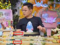 苏州大黄鸭商贸有限公司
