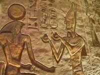 苏州大黄鸭商贸有限公司