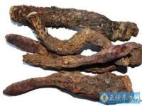 苏州大黄鸭商贸有限公司