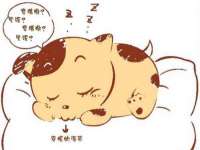 苏州大黄鸭商贸有限公司