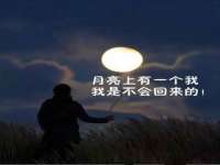 苏州大黄鸭商贸有限公司