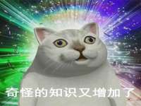 苏州大黄鸭商贸有限公司