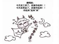 苏州大黄鸭商贸有限公司