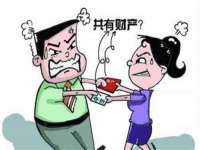 苏州大黄鸭商贸有限公司