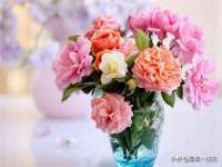 苏州大黄鸭商贸有限公司