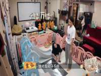苏州大黄鸭商贸有限公司