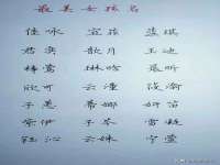 苏州大黄鸭商贸有限公司
