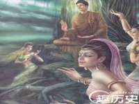 苏州大黄鸭商贸有限公司