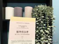 苏州大黄鸭商贸有限公司